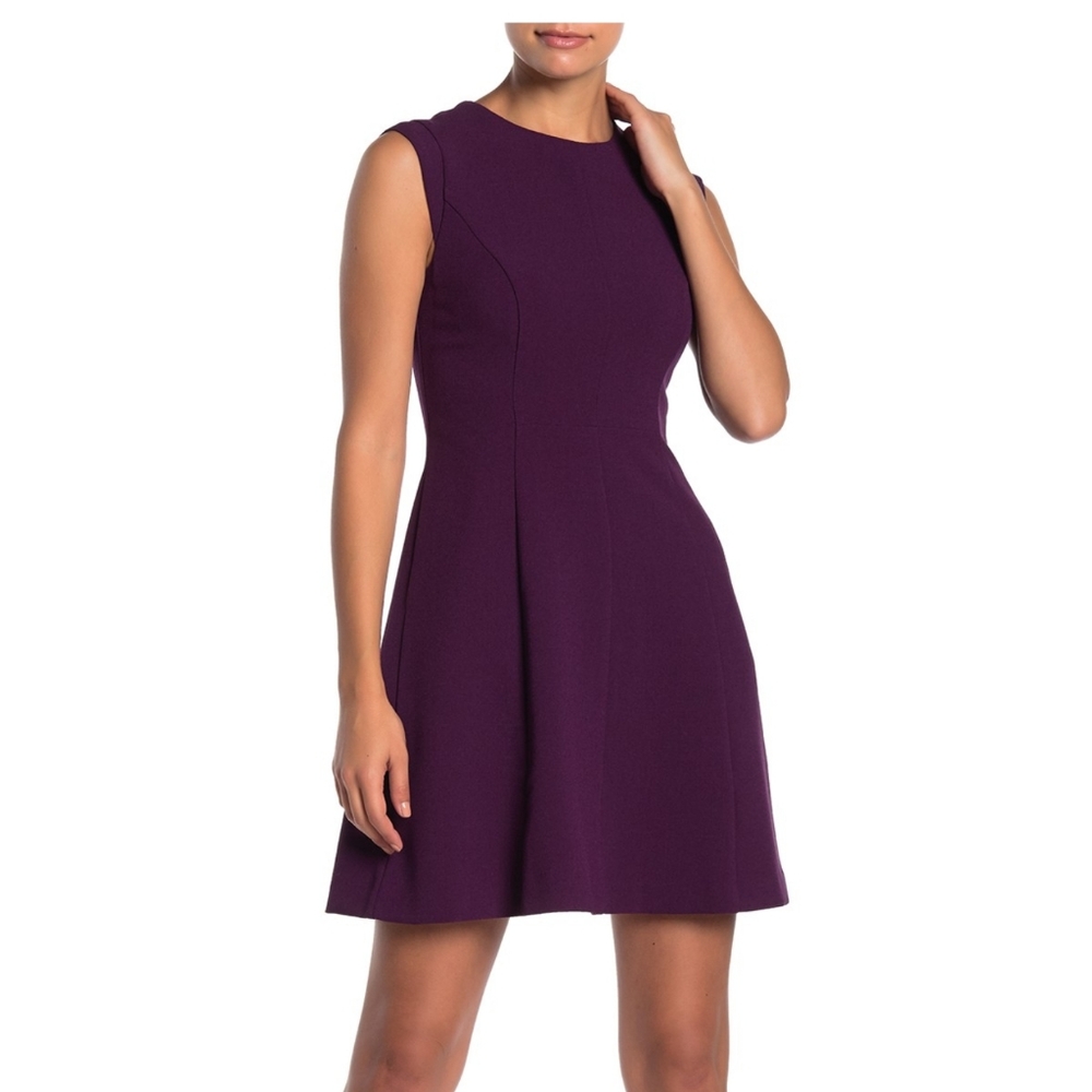 Vince Camuto Cap Sleeve Fit & Flare (Petite)Dress